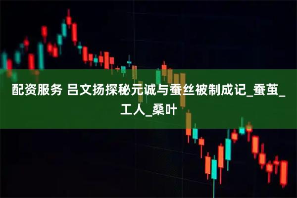 配资服务 吕文扬探秘元诚与蚕丝被制成记_蚕茧_工人_桑叶